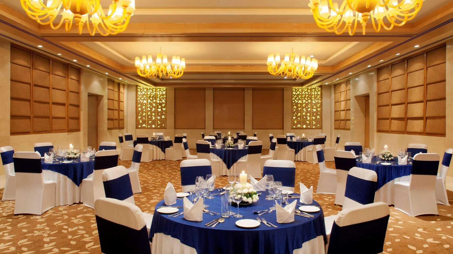 Radisson Blu Hotel New Delhi Dwarka